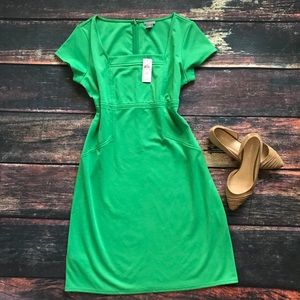 NWT Ann Taylor Green Dress 8P